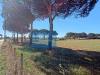 Terreno Agricolo in vendita a Nettuno in via silvio spaventa 121 - 09, Foto 9