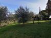 Casa indipendente in vendita con giardino a Marsciano in strada statale 317 - 02, giardino