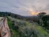 Villa in vendita a Torgiano - 10, Foto 10