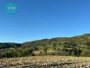 Terreno Agricolo in vendita a Gualdo Cattaneo in vocabolo ronzano - 03, Foto 3
