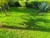 Villa in vendita con giardino a Sinalunga - guazzino - 04