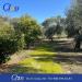 Terreno Agricolo in vendita a Giovinazzo in contrada lama zevinna - 03, Foto 3