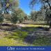 Terreno Agricolo in vendita a Giovinazzo in contrada lama zevinna - 04, Foto 4