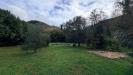 Villa in affitto con giardino a Pietrasanta - 02