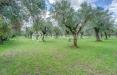 Villa in affitto arredato a Seravezza - querceta - 02