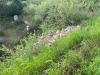 Terreno Agricolo in vendita a Martina Franca in strada porcile palesi snc - 04, Foto 4