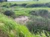 Terreno Agricolo in vendita a Martina Franca in strada porcile palesi snc - 05, Foto 5