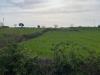 Terreno Agricolo in vendita a Martina Franca in strada porcile palesi snc - 06, Foto 6