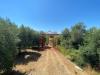Terreno Agricolo in vendita a Terracina in via appia antica - 03, Foto 3