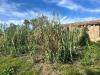 Casa indipendente in vendita a Terracina in strada circondariale 49 - 06, Foto 6