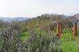 Rustico in vendita con giardino a Pontremoli - 05