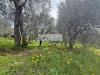 Terreno Edificabile in vendita a Massarosa in via di toma - 03, Foto 3