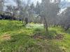 Terreno Edificabile in vendita a Massarosa in via di toma - 08, Foto 8
