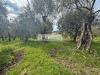 Terreno Edificabile in vendita a Massarosa in via di toma - 09, Foto 9
