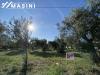 Terreno Edificabile in vendita a Treglio in contrada san giorgio 139 - 06, Foto 6