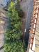 Appartamento in vendita con giardino a Massa in via ripa castagnetola - 03, Foto 3