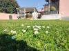Villa in vendita con giardino a Massa - 05, Foto 5