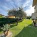Appartamento in vendita con giardino a Massa in via romagnano - 03, Foto 3