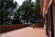 Villa in vendita a Montelepre in vamasacri - 08, giardino