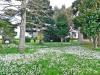Casa indipendente in vendita con giardino a San Giuliano Terme - 02