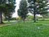 Casa indipendente in vendita con giardino a San Giuliano Terme - 04