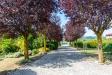 Villa in vendita con giardino a Tonco in via asti 29 - 04, Foto 4