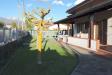 Villa in affitto arredato a Forte dei Marmi - centro - 02