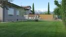 Villa in affitto arredato a Forte dei Marmi - roma imperiale - 04