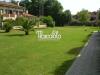 Villa in affitto arredato a Forte dei Marmi - centro - 02