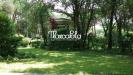 Villa in vendita con giardino a Massa in via s.ginese - 06, Foto 6