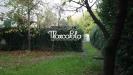 Villa in vendita con giardino a Massa in via g. verdi - 04, Foto 4