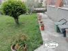 Casa indipendente in affitto a Arcola - 03
