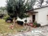 Casa indipendente in vendita a Castelnuovo Magra - molicciara - 02