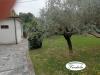 Casa indipendente in vendita a Castelnuovo Magra - molicciara - 03