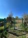 Terreno Agricolo in vendita a Scalea - 06, WhatsApp Image 2026-03-25 at 12.13.01 (4).jpeg