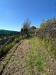Terreno Agricolo in vendita a Scalea - 08, WhatsApp Image 2026-03-25 at 12.13.02 (1).jpeg