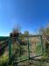 Terreno Agricolo in vendita a Scalea - 09, WhatsApp Image 2026-03-25 at 12.13.02.jpeg