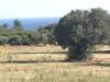 Terreno Edificabile in vendita a Roseto Capo Spulico - marina sopra ferrovia - 06, Foto