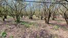 Terreno Agricolo in vendita a Soriano nel Cimino - fornacchia - 03, Foto