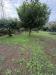 Terreno Agricolo in vendita a Paderno Dugnano - 03, IMG_2826.jpeg