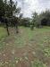 Terreno Agricolo in vendita a Paderno Dugnano - 07, IMG_2830.jpeg