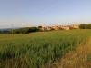 Terreno Agricolo in vendita a Colle di Val d'Elsa - 06