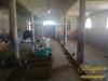 Villa in vendita a Parma - san prospero - 02