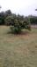 Terreno Edificabile in vendita a Aprilia - 07, WhatsApp Image 2025-04-17 at 20.23.29.jpeg