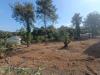 Terreno Agricolo in vendita a Aprilia - 07, 3f88ad86-cb85-441a-90c2-2238058fe8df.jpg