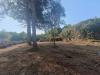 Terreno Agricolo in vendita a Aprilia - 10, 51d9efaf-8953-498d-b87b-c08dad10b677.jpg