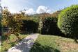 Villa in vendita con giardino a Ricc del Golfo di Spezia - valgraveglia - 04, DSC09300.jpg
