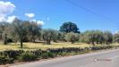 Terreno in vendita a Messina - 03