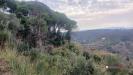 Terreno in vendita a Messina - 03