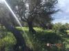 Terreno in vendita a Messina - 02